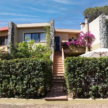 Pinus Village بولا