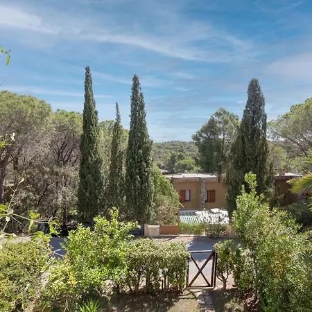 Pinus Village بولا