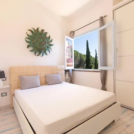 Pinus Village